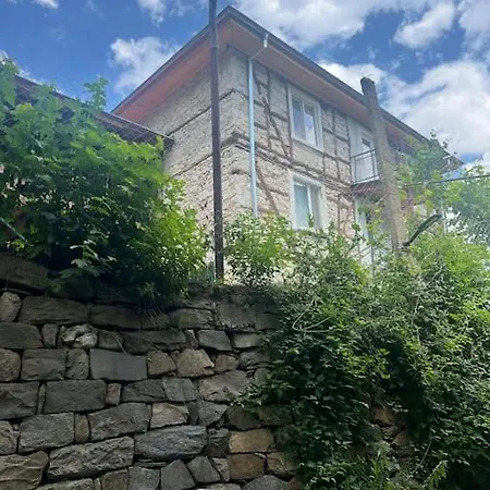 Vilă Rodopi Mountain Narechenski Bani