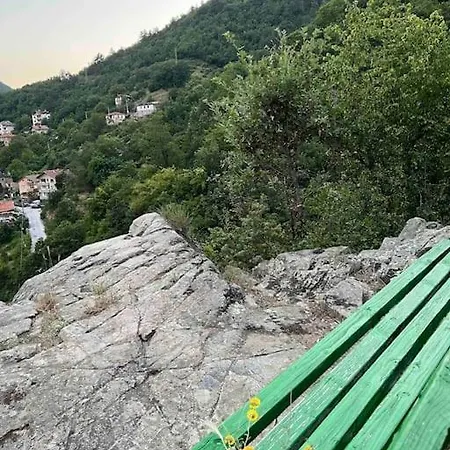 Rodopi Mountain Vilă Narechenski Bani